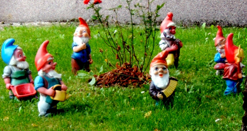 garden gnomes